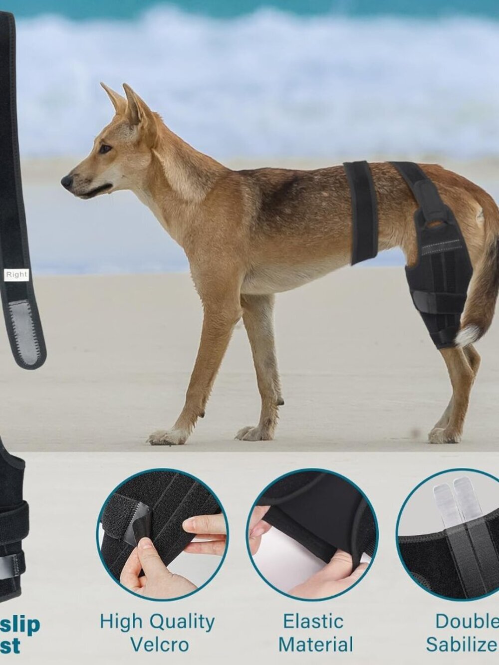 Dog Knee Brace,